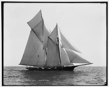 Fortuna, Goelet Cup Race, 1891 Aug 7. Creator: Unknown