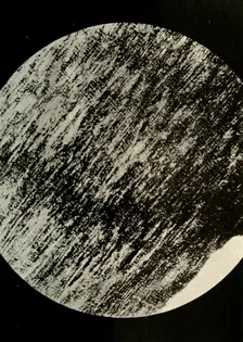 Fossil Wood in Sandstone, from a Moraine in Latitude 85° South c1908, (1909)
