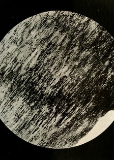 Fossil Wood in Sandstone, from a Moraine in Latitude 85° South c1908, (1909)