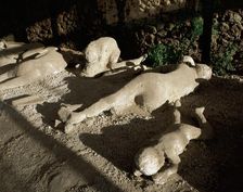 Fossilised corpses found in the Garden of the Fugitives, Pompeii, Campania, Italy, 2008. Creator: LTL