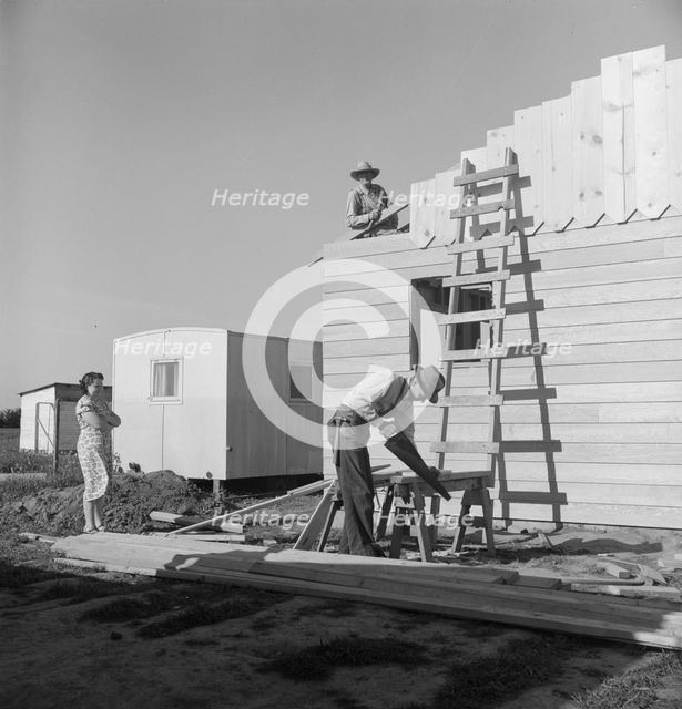 Father and son building house on outskirts of Salinas, California, 1939. Creator: Dorothea Lange.