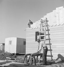 Father and son, recent migrants to California, building house, Salinas, California, 1939. Creator: Dorothea Lange