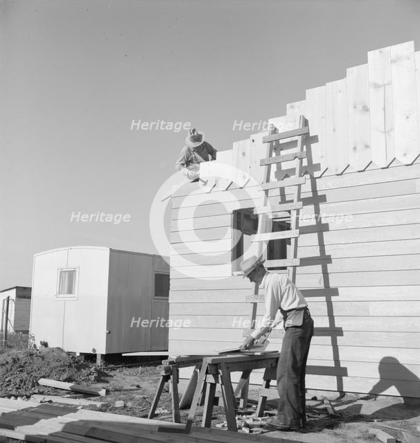 Father and son, recent migrants to California, building house, Salinas, California, 1939. Creator: Dorothea Lange.