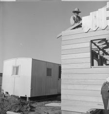 Father and son, recent migrants to California, building house, Salinas, California, 1939. Creator: Dorothea Lange
