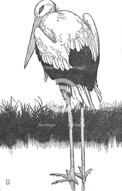 'Father-Stork', c1930. Artist: W Heath Robinson.