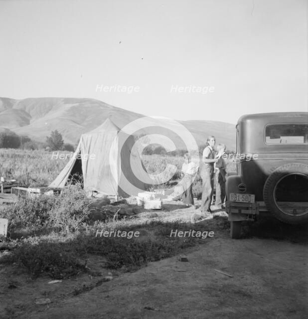 Fatherless migratory family camped behind gas station, Yakima Valley, Washington, 1939. Creator: Dorothea Lange.