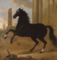 Favourite, one of King Karl XI's riding horses, 1689. Creator: David Klocker Ehrenstrahl