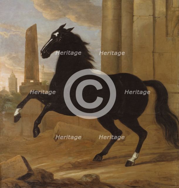 Favourite, one of King Karl XI's riding horses, 1689. Creator: David Klocker Ehrenstrahl.