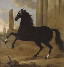 Favourite, one of King Karl XI's riding horses, 1689. Creator: David Klocker Ehrenstrahl