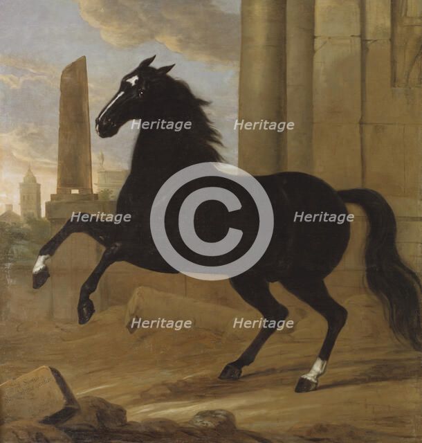 Favourite, one of King Karl XI's riding horses, 1689. Creator: David Klocker Ehrenstrahl.