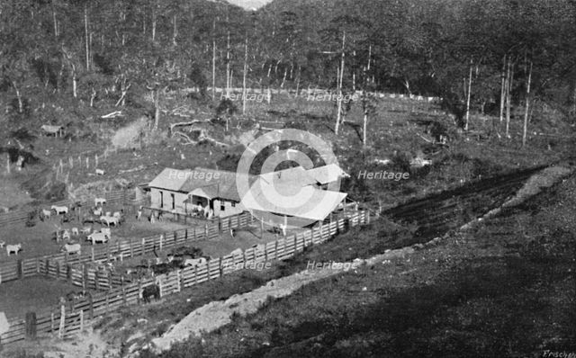 'Fazenda de Criacao (Campos do Jordao)', (Criacao Farm), 1895. Artist: Axel Frick.