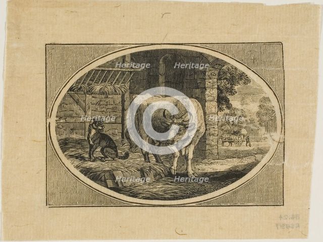 Fable, n.d. Creator: Thomas Bewick.