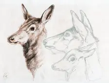 Facsimile of a drawing by Sir E Landseer, 1874.Artist: Edwin Henry Landseer
