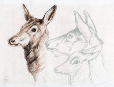 Facsimile of a drawing by Sir E Landseer, 1874.Artist: Edwin Henry Landseer