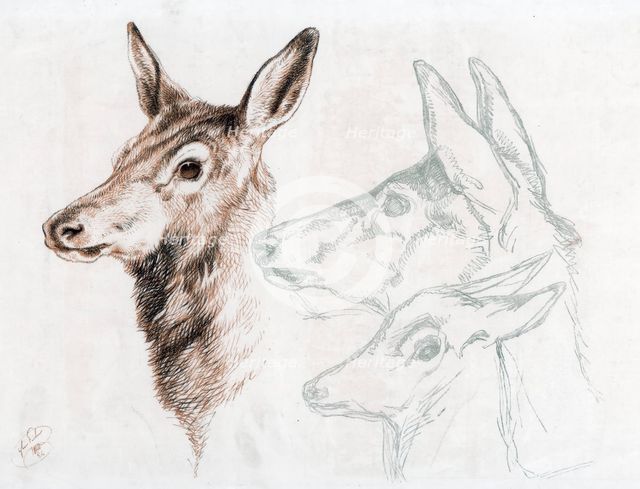 Facsimile of a drawing by Sir E Landseer, 1874.Artist: Edwin Henry Landseer