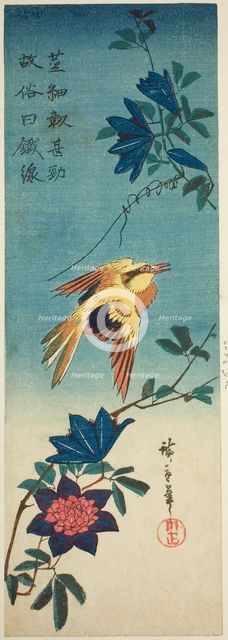 (Facsimile?) Black-naped oriole and clematis, 1840s. Creator: Ando Hiroshige.