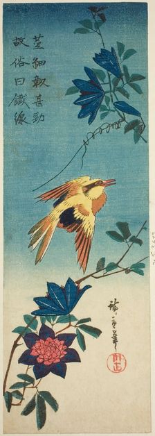 (Facsimile?) Black-naped oriole and clematis, 1840s. Creator: Ando Hiroshige