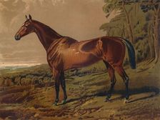 Fair Nell c1879. Creator: Unknown