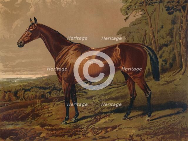 'Fair Nell', c1879. Creator: Unknown.