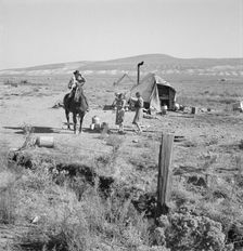 Fairbanks home, Willow Creek area, Malheur County, Oregon, 1939. Creator: Dorothea Lange