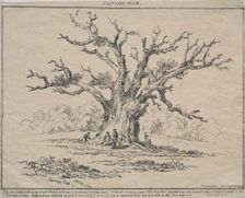 Fairlop Oak, 1811. Creator: D. H. Redman (British)