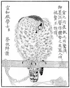 Falcon, 1886