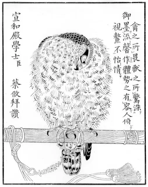 Falcon, 1886. Artist: Unknown