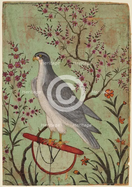 Falcon on a Perch, c. 1610. Creator: Unknown.