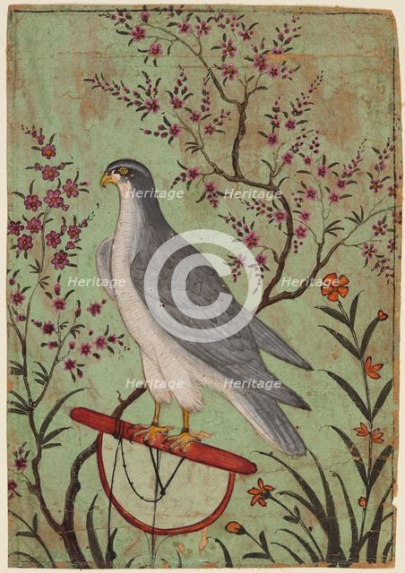 Falcon on a Perch, c. 1610. Creator: Unknown.