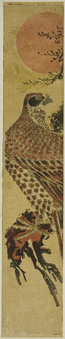 Falcon at Sunrise, c. 1775. Creator: Isoda Koryusai
