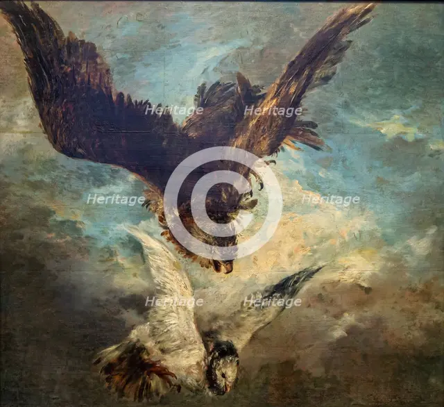Falcon Attacking a Pigeon, 1844. Creator: Menzel, Adolph Friedrich, von (1815-1905).
