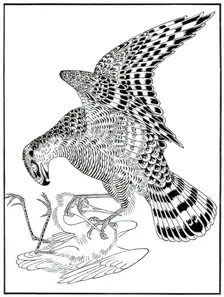 Falcon and egret, 16th century (1886)