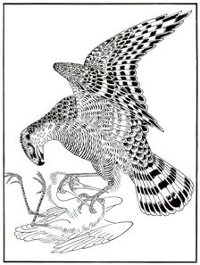 Falcon and egret, 16th century (1886)