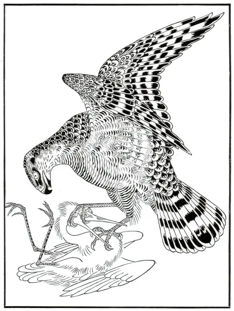 Falcon and egret, 16th century (1886). Artist: Unknown