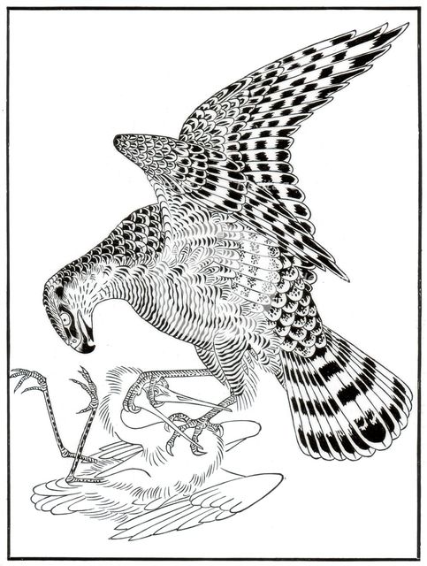 Falcon and egret, 16th century (1886). Artist: Unknown