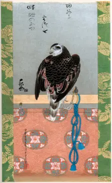 Falcon, c1790 (1886). Artist: Wilhelm Greve