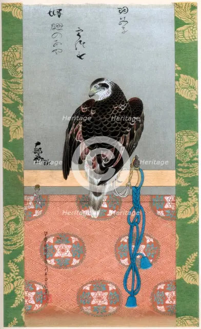 Falcon, c1790 (1886). Artist: Wilhelm Greve