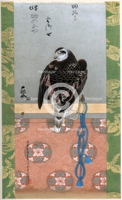 Falcon, c1790 (1886). Artist: Wilhelm Greve