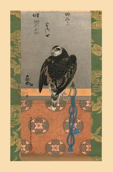 Falcon, c1790, (1886). Artist: Wilhelm Greve
