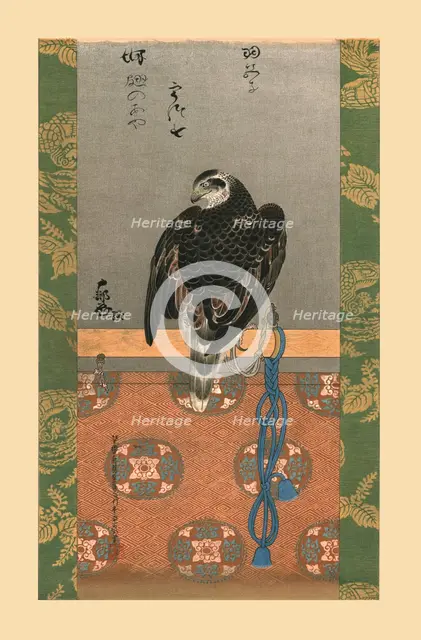 Falcon, c1790, (1886).  Artist: Wilhelm Greve.