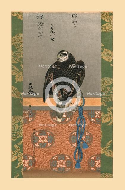 Falcon, c1790, (1886).  Artist: Wilhelm Greve.