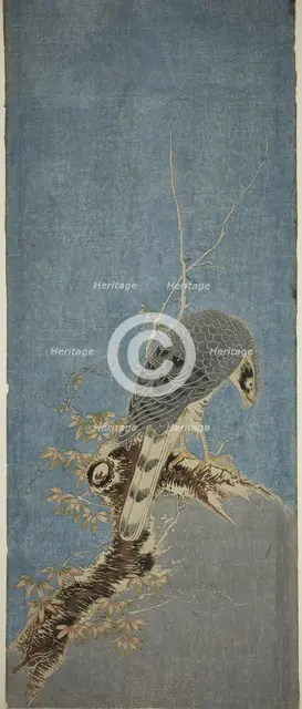 Falcon Perched on a Tree, c. 1785. Creator: Isoda Koryusai.