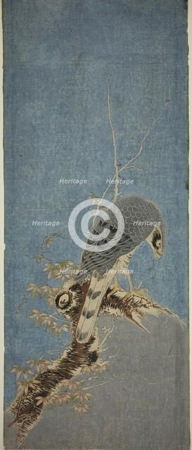 Falcon Perched on a Tree, c. 1785. Creator: Isoda Koryusai.