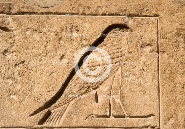 Falcon relief, Necropolis of Saqqara, Egypt, Old Kingdom (2015). Creator: Unknown.