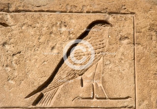 Falcon relief, Necropolis of Saqqara, Egypt, Old Kingdom (2015). Creator: Unknown.