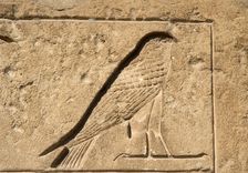 Falcon relief, Necropolis of Saqqara, Egypt, Old Kingdom (2015). Creator: Unknown