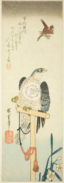 Falcon, sparrow, and narcissus, 1830s. Creator: Ando Hiroshige.