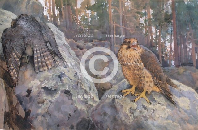 Falcons in the Forest, 1895. Creator: Eero Jarnefelt.