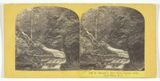 Fall at Shurger's, East shore Cayuga Lake, near Ithaca, N.Y., 1860/65. Creator: J. C. Burritt
