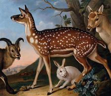 Fallow deer, ibex and hare, 1723. Creator: Philipp Ferdinand de Hamilton